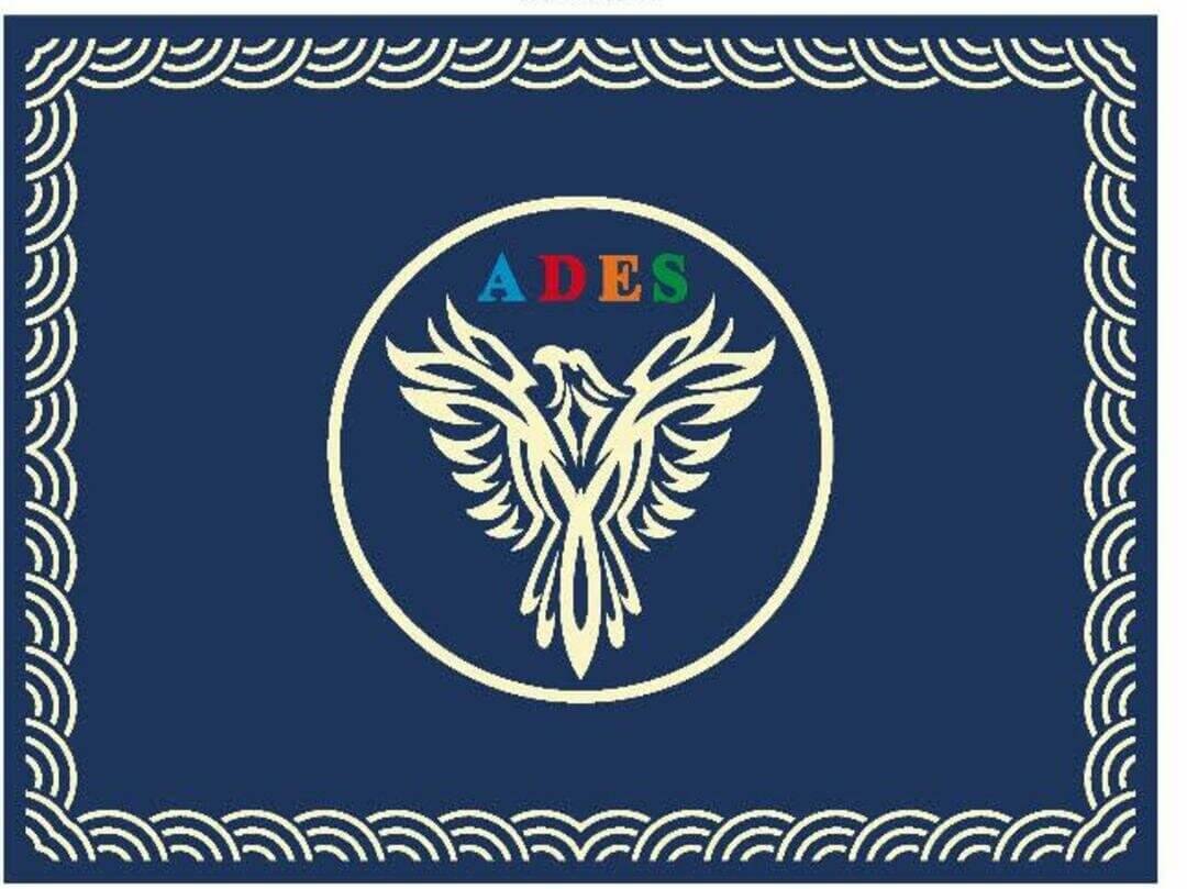 ades_bamako_chine42_cropped